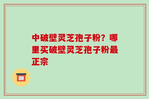 中破壁灵芝孢子粉？哪里买破壁灵芝孢子粉正宗