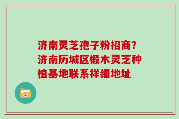 济南灵芝孢子粉招商？济南历城区椴木灵芝种植基地联系祥细地址