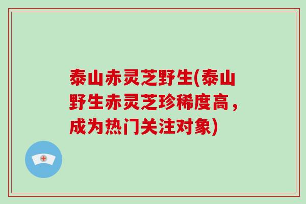 泰山赤灵芝野生(泰山野生赤灵芝珍稀度高，成为热门关注对象)