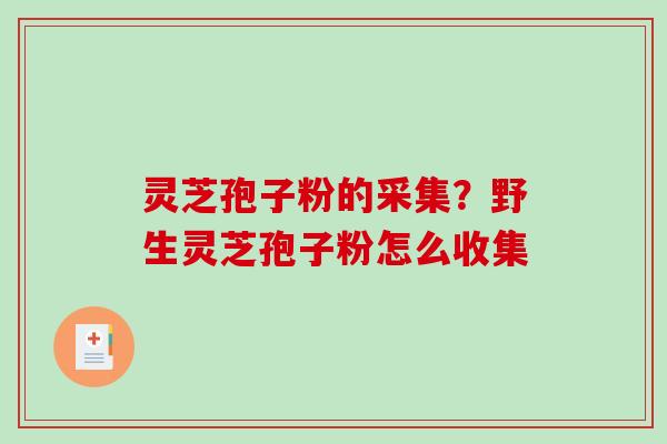 灵芝孢子粉的采集？野生灵芝孢子粉怎么收集