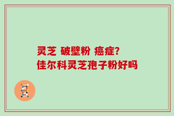 灵芝 破壁粉 症？佳尔科灵芝孢子粉好吗