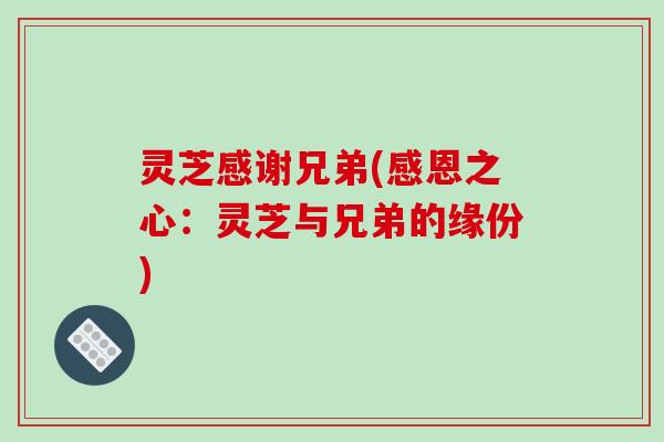 灵芝感谢兄弟(感恩之心：灵芝与兄弟的缘份)