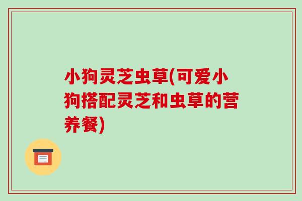 小狗灵芝虫草(可爱小狗搭配灵芝和虫草的营养餐)