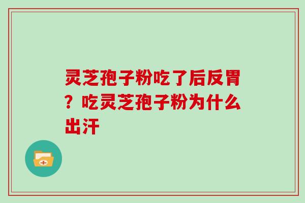 灵芝孢子粉吃了后反胃？吃灵芝孢子粉为什么出汗