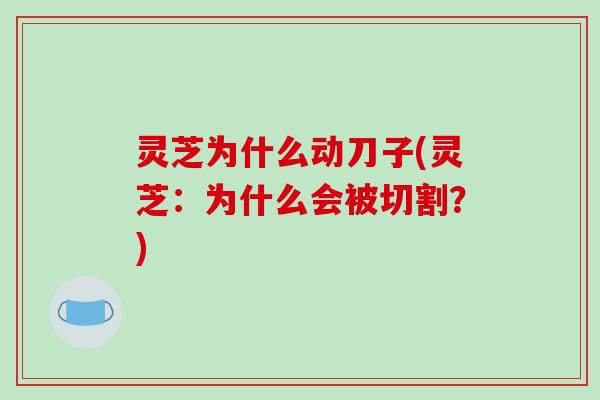 灵芝为什么动刀子(灵芝：为什么会被切割？)