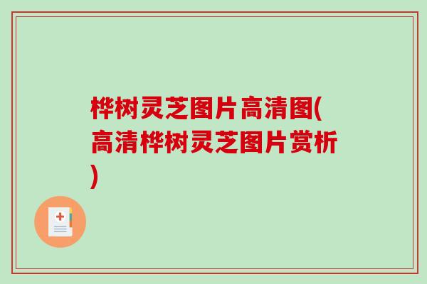 桦树灵芝图片高清图(高清桦树灵芝图片赏析)