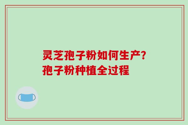 灵芝孢子粉如何生产？孢子粉种植全过程
