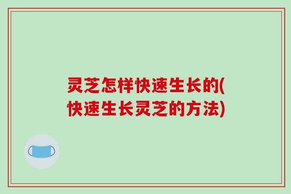 灵芝怎样快速生长的(快速生长灵芝的方法)