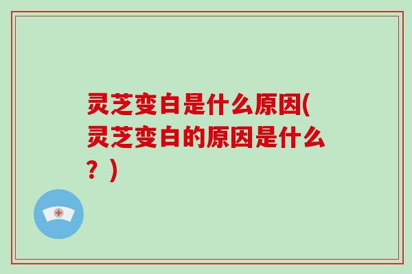 灵芝变白是什么原因(灵芝变白的原因是什么？)