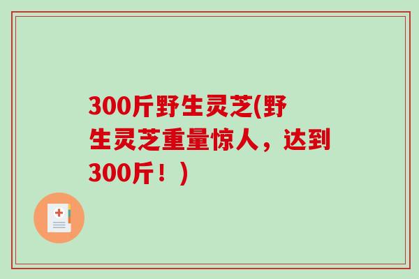 300斤野生灵芝(野生灵芝重量惊人，达到300斤！)