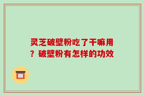 灵芝破壁粉吃了干嘛用？破壁粉有怎样的功效