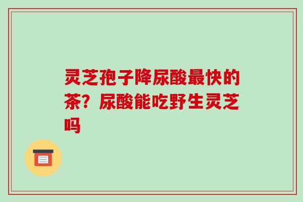灵芝孢子降尿酸快的茶？尿酸能吃野生灵芝吗