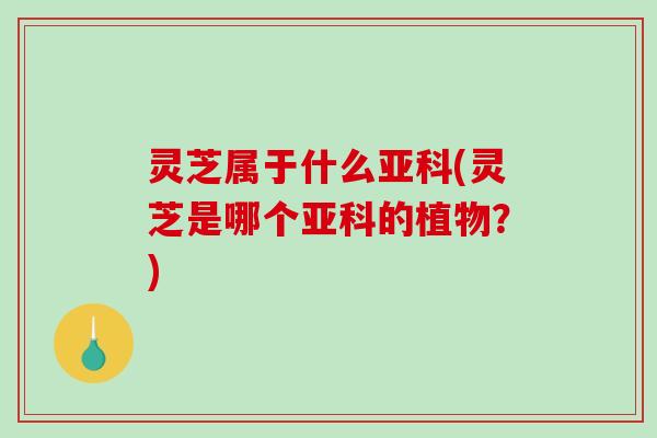 灵芝属于什么亚科(灵芝是哪个亚科的植物？)