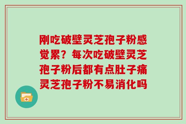 刚吃破壁灵芝孢子粉感觉累？每次吃破壁灵芝孢子粉后都有点肚子痛灵芝孢子粉不易消化吗
