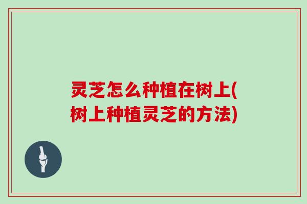 灵芝怎么种植在树上(树上种植灵芝的方法)