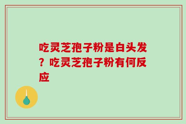 吃灵芝孢子粉是白头发？吃灵芝孢子粉有何反应