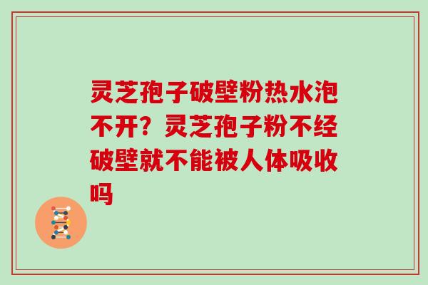 灵芝孢子破壁粉热水泡不开？灵芝孢子粉不经破壁就不能被人体吸收吗