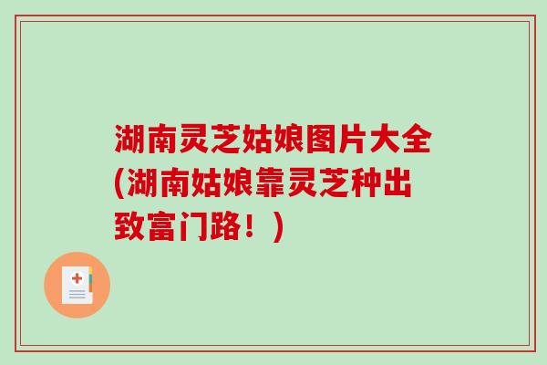 湖南灵芝姑娘图片大全(湖南姑娘靠灵芝种出致富门路！)