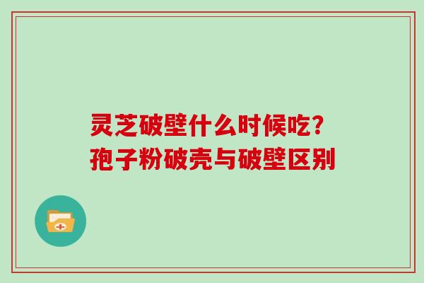 灵芝破壁什么时候吃？孢子粉破壳与破壁区别
