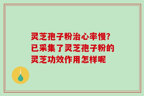 灵芝孢子粉心率慢？已采集了灵芝孢子粉的灵芝功效作用怎样呢