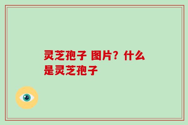 灵芝孢子 图片？什么是灵芝孢子
