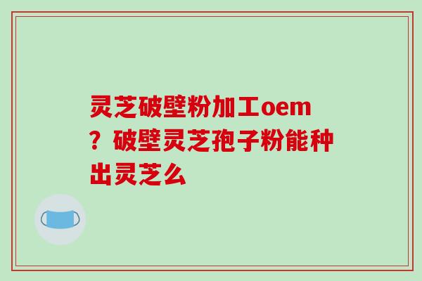 灵芝破壁粉加工oem？破壁灵芝孢子粉能种出灵芝么