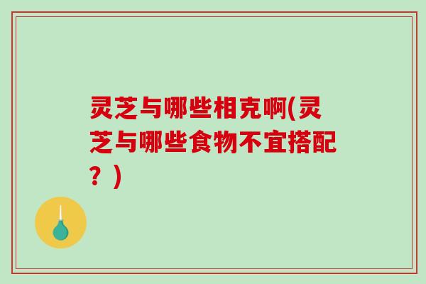 灵芝与哪些相克啊(灵芝与哪些食物不宜搭配？)