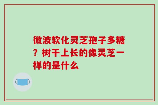 微波软化灵芝孢子多糖？树干上长的像灵芝一样的是什么