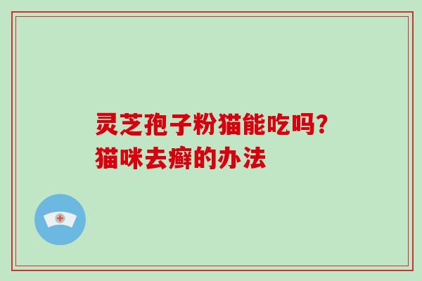 灵芝孢子粉猫能吃吗？猫咪去癣的办法