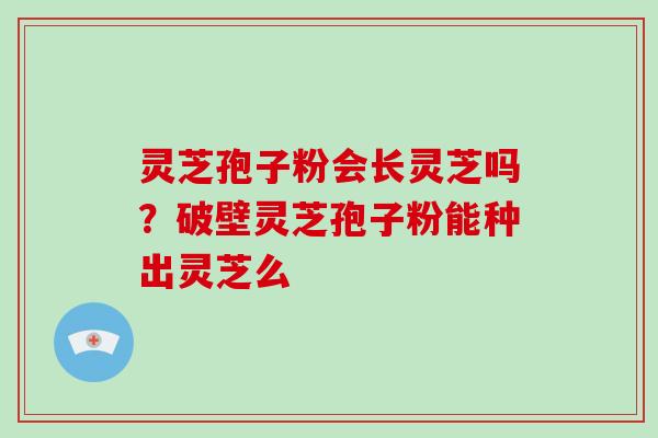 灵芝孢子粉会长灵芝吗？破壁灵芝孢子粉能种出灵芝么