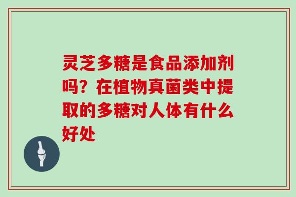 灵芝多糖是食品添加剂吗?在植物真菌类中提取的多糖对人体有什么好处 灵芝多糖是食品添加剂吗?在植物真菌类中提取的多糖对人体有什么好处