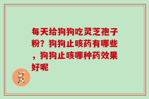 每天给狗狗吃灵芝孢子粉?狗狗止咳药有哪些,狗狗止咳哪种果好呢 每天给狗狗吃灵芝孢子粉?狗狗止咳药有哪些,狗狗止咳哪种果好呢