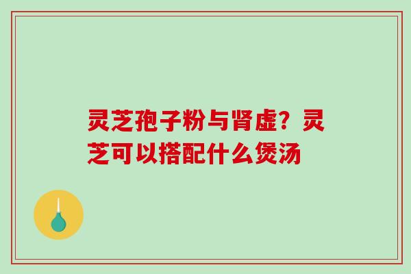 灵芝孢子粉与虚?灵芝可以搭配什么煲汤 灵芝孢子粉与虚?灵芝可以搭配什么煲汤