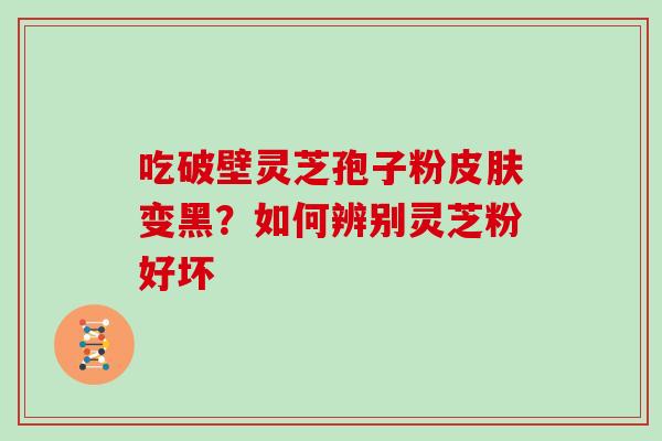 吃破壁灵芝孢子粉变黑?如何辨别灵芝粉好坏 吃破壁灵芝孢子粉变黑?如何辨别灵芝粉好坏