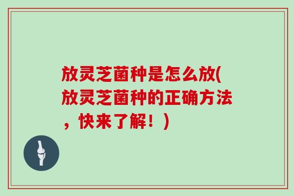 放灵芝菌种是怎么放(放灵芝菌种的正确方法,快来了解!) 放灵芝菌种是怎么放(放灵芝菌种的正确方法,快来了解!)