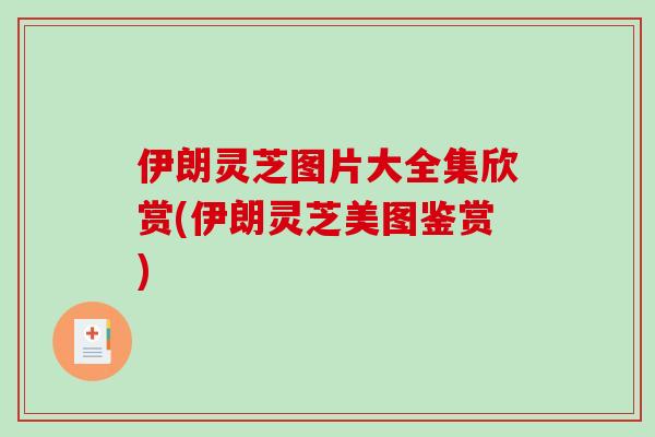伊朗灵芝图片大全集欣赏(伊朗灵芝美图鉴赏)