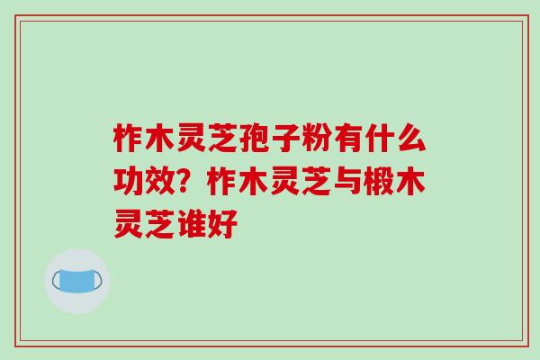 柞木灵芝孢子粉有什么功效？柞木灵芝与椴木灵芝谁好