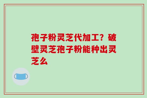 孢子粉灵芝代加工？破壁灵芝孢子粉能种出灵芝么