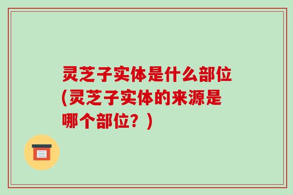 灵芝子实体是什么部位(灵芝子实体的来源是哪个部位？)