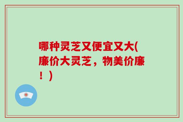 哪种灵芝又便宜又大(廉价大灵芝，物美价廉！)