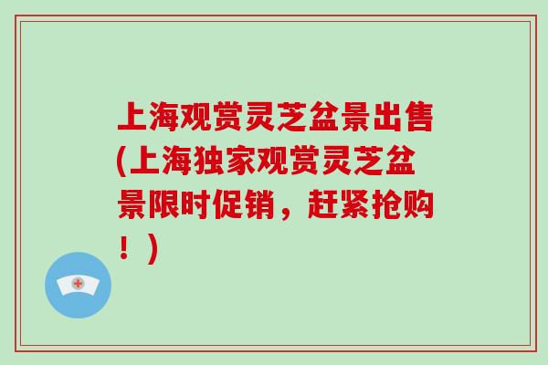 上海观赏灵芝盆景出售(上海独家观赏灵芝盆景限时促销，赶紧抢购！)