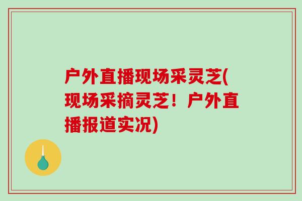 户外直播现场采灵芝(现场采摘灵芝！户外直播报道实况)