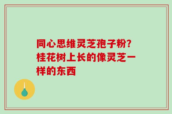 同心思维灵芝孢子粉？桂花树上长的像灵芝一样的东西