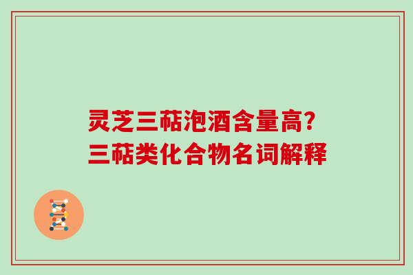 灵芝三萜泡酒含量高？三萜类化合物名词解释