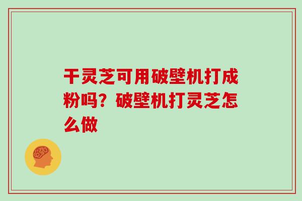 干灵芝可用破壁机打成粉吗？破壁机打灵芝怎么做
