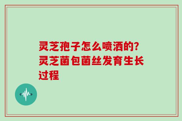 灵芝孢子怎么喷洒的？灵芝菌包菌丝发育生长过程