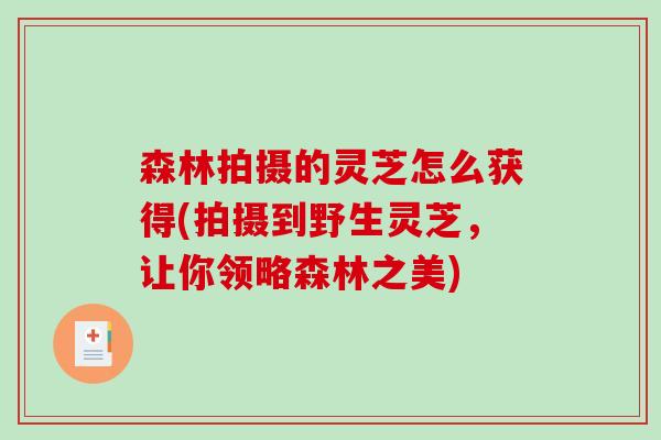 森林拍摄的灵芝怎么获得(拍摄到野生灵芝，让你领略森林之美)