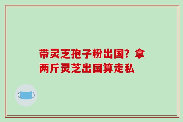 带灵芝孢子粉出国?拿两斤灵芝出国算走私 带灵芝孢子粉出国?拿两斤灵芝出国算走私