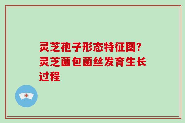 灵芝孢子形态特征图?灵芝菌包菌丝发育生长过程 灵芝孢子形态特征图?灵芝菌包菌丝发育生长过程