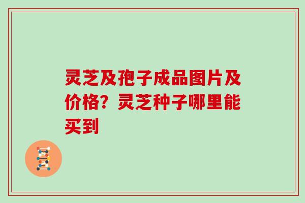 灵芝及孢子成品图片及价格？灵芝种子哪里能买到